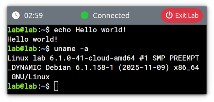 screenshot of the lab terminal running some shell commands