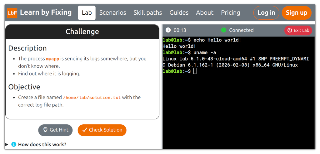 screenshot of the lab page