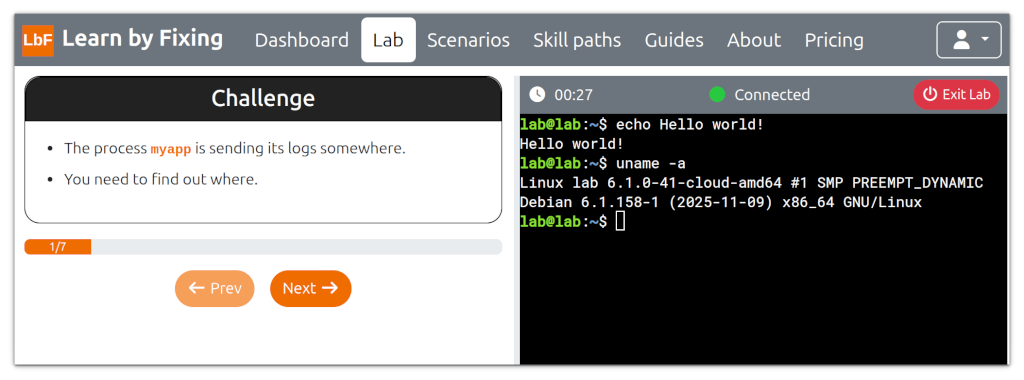 screenshot of the lab page